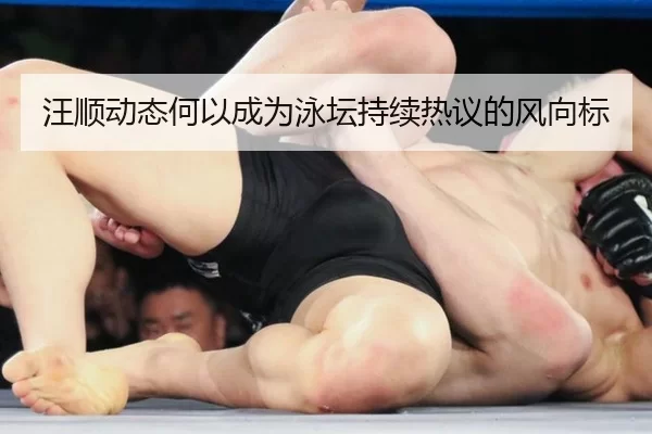 汪顺动态何以成为泳坛持续热议的风向标
